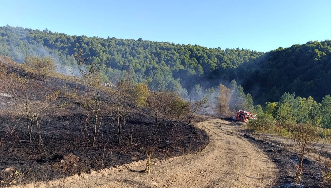 Bilecik Pazaryeri yangını büyümeden söndürüldü