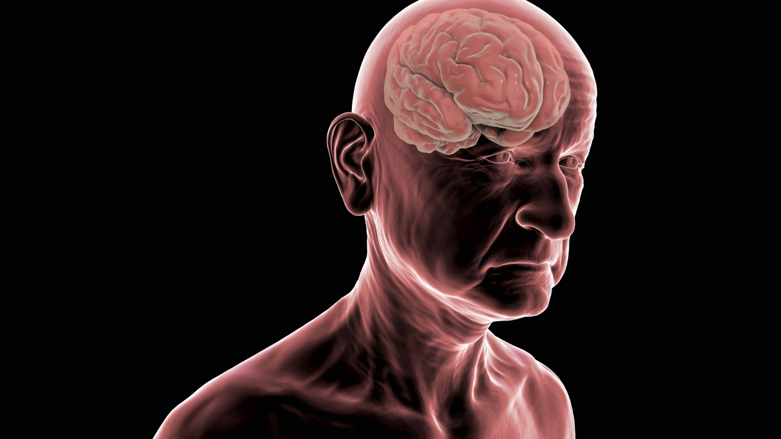 Alzheimer’da erken belirtiler neler? Alzheimer’da erken belirtiler neler?