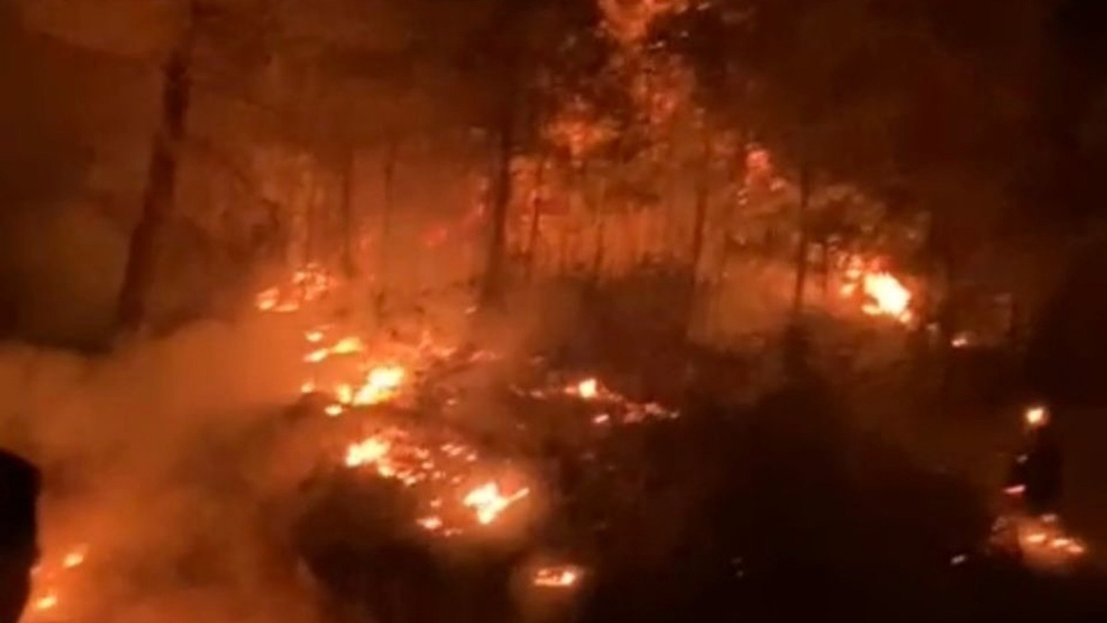 Antalya’da orman yangını Antalya’da orman yangını