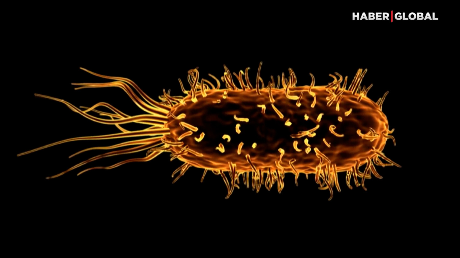 ⁠Yapay zeka ile erken teşhis