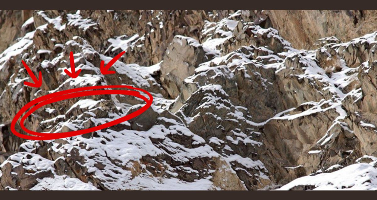 Avcıların gözünden bile kaçıyor! Resimde gizli leoparı yalnızca gerçek dahiler 9 saniyede buluyor Avcıların gözünden bile kaçıyor! Resimde gizli leoparı yalnızca gerçek dahiler 9 saniyede buluyor