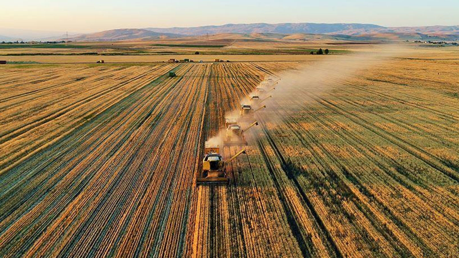 Tarımsal girdi fiyatları temmuzda yükselişe geçti Tarımsal girdi fiyatları temmuzda yükselişe geçti