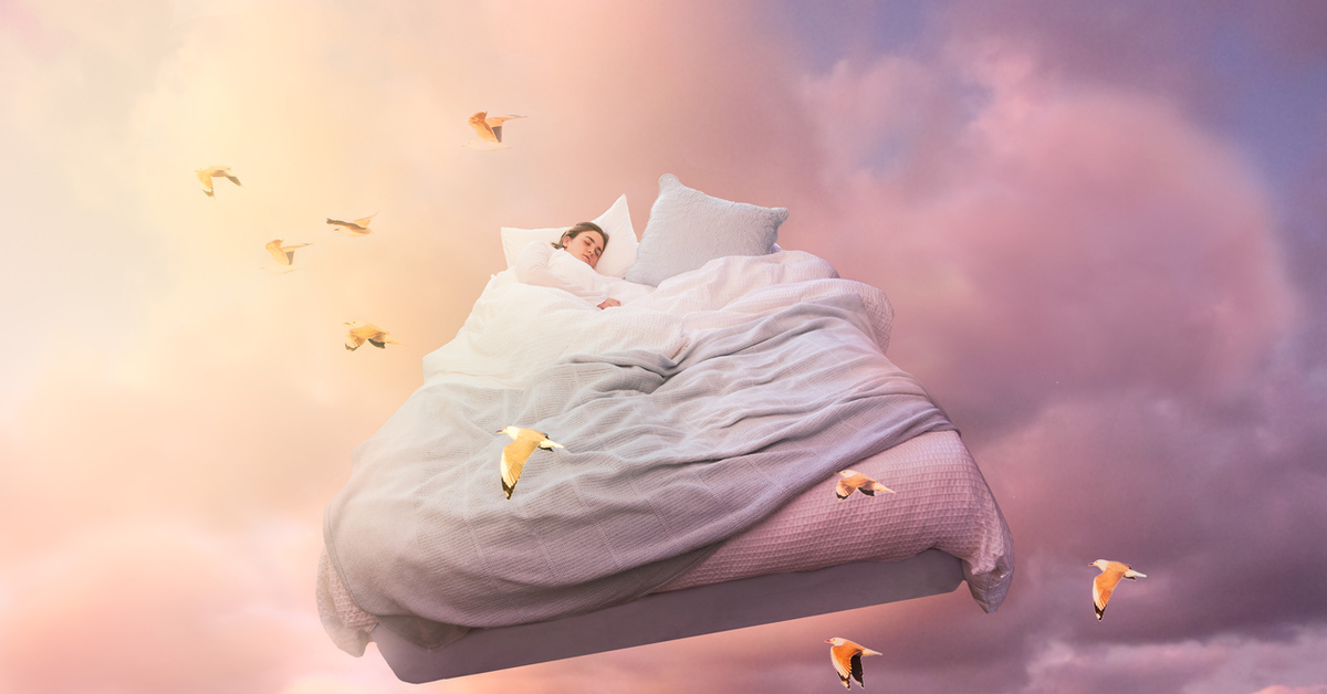 Rüyada Su Kaplumbağası Görmek Rüyada Su Kaplumbağası Görmek