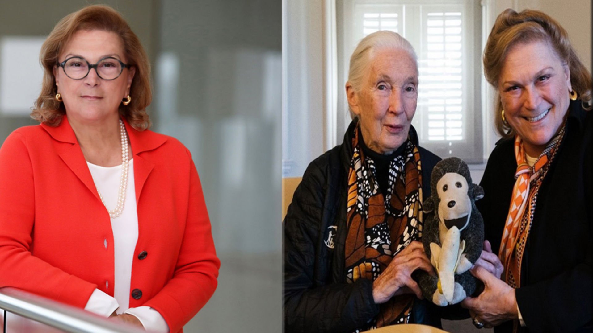 Jane’nin umut veren sözlerini hatırlamalıyız Jane’nin umut veren sözlerini hatırlamalıyız