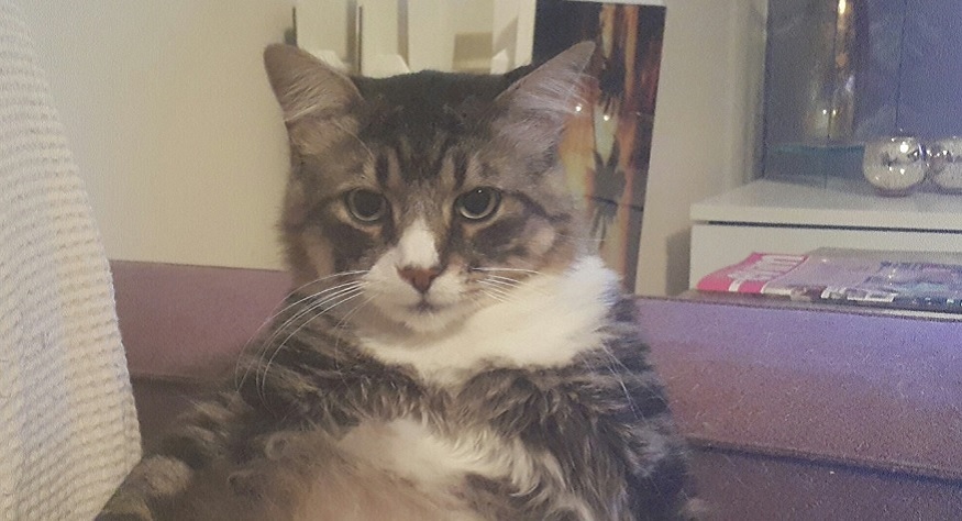 Hiçbir Şey İmkansız Değil Hiçbir Şey İmkansız Değil