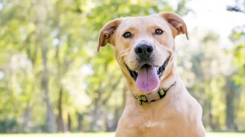 Mutluluk Kaynağım İyi ki Geldin! Mutluluk Kaynağım İyi ki Geldin!
