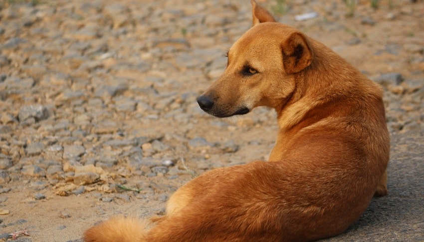 Peri Kızım İyi ki Varsın! Peri Kızım İyi ki Varsın!