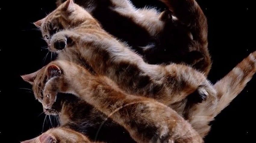 Yüksekten Düşmeye Müdahale Yüksekten Düşmeye Müdahale