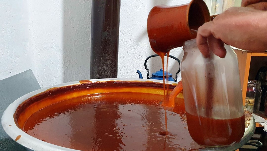 Toplamak için dağlara akın ettiler: 100 gramında 1 kase portakaldan fazla C vitamini var Toplamak için dağlara akın ettiler: 100 gramında 1 kase portakaldan fazla C vitamini var