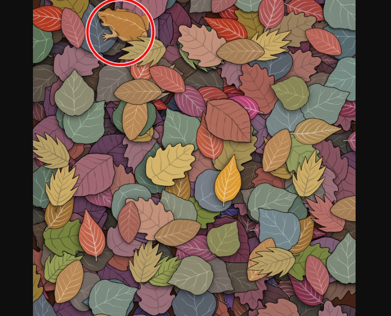 Şahin gibi gözlere sahip olmak gerek! Bu resimde saklı kurbağayı bulmak göründüğünden çok daha zor olacak Şahin gibi gözlere sahip olmak gerek! Bu resimde saklı kurbağayı bulmak göründüğünden çok daha zor olacak