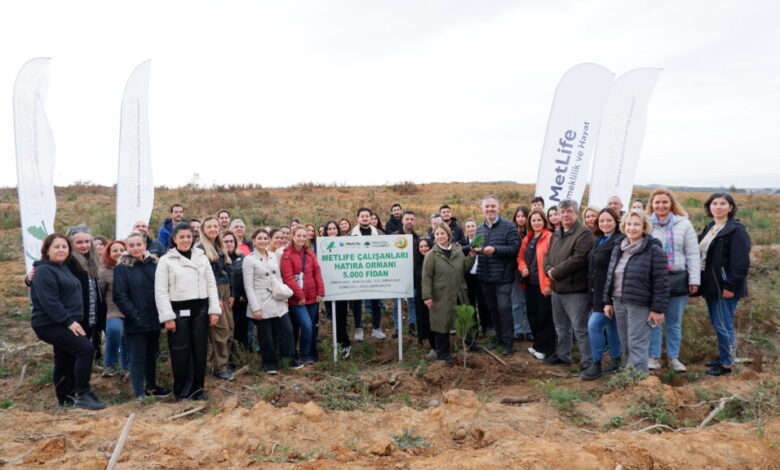 MetLife Türkiye, Şile’de 5 Bin Fidan Dikti