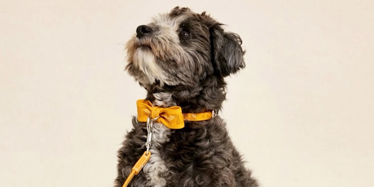 Goyard’ın Sevimli Dostlara Bir Sürprizi Var Goyard’ın Sevimli Dostlara Bir Sürprizi Var