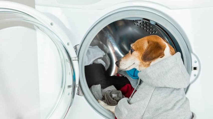 Ev Hijyen Ürünleri Ev Hijyen Ürünleri