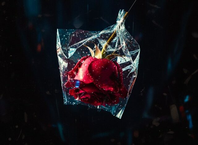 Berkay Altunyay Yeni Şarkısı ‘Beni Yalanlara Sar’ı Yayınladı