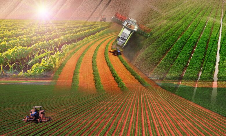 Türkiye tarımda 7 üründe dünya lideri